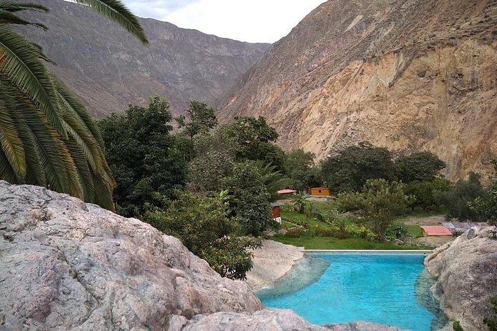2-Day Custom Colca Canyon Trek from Arequipa