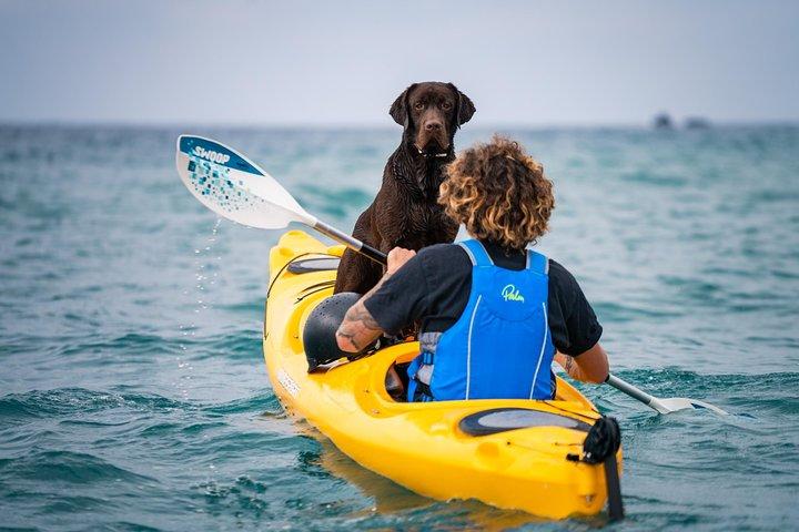 Excursión en kayak a las cuevas marinas de Santorini para grupos pequeños con esnórquel y picnic