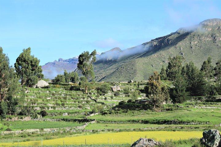 Canyon de Colca / Trek de 3 jours et 2 nuits