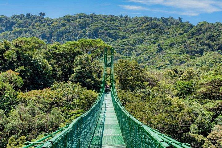 Fullständig Monteverde Cloud Forest-upplevelse med ziplining.