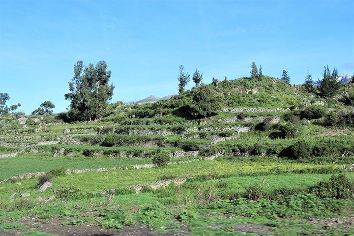 Colca Canyon / 2 Dag 1 Nat Trek