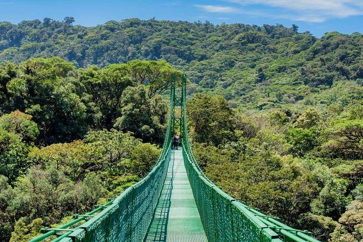 Selvatura Park Hanging Bridge Tour i Monteverde