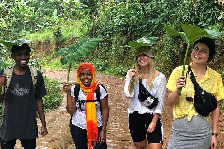 Visite des cascades et du café de Materuni