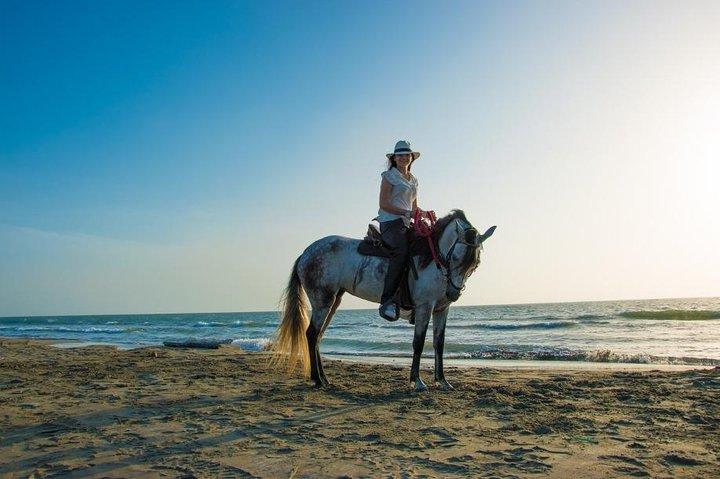 Horseback Riding on the beach with Colombian Paso Show, Cartagena