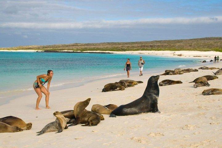 Tour Quito + Galapagos + Guayaquil / 7 dagen