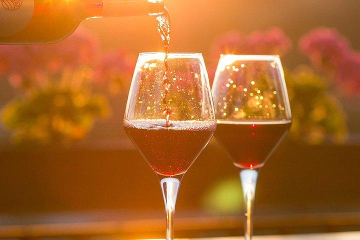 Private Wine Tasting Transfer from Prague to Budapest