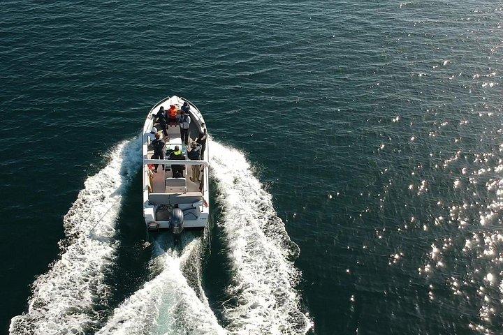 ファロ-2つの島を訪れるリアフォルモサツアー（デセルタ、ファロル）3.5時間