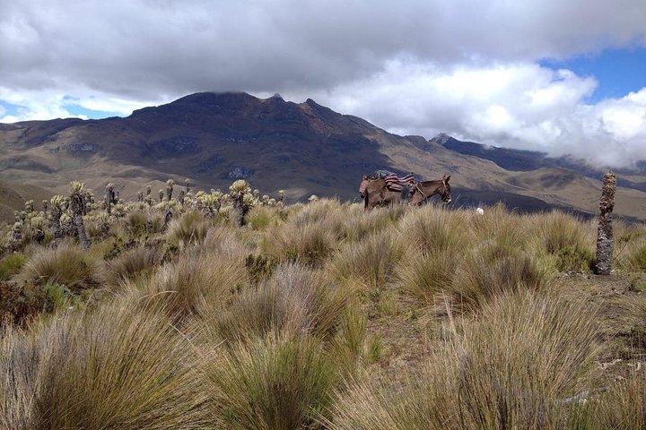 Expedición al nevado del Tolima 3 días 2 noches
