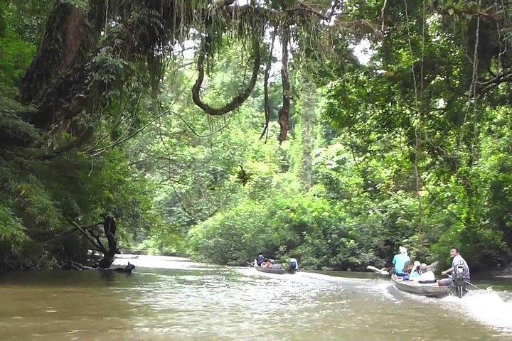 Traslado privado: Kuala Lumpur al Parque Nacional Taman Negara (embarcadero de Kuala Tahan)