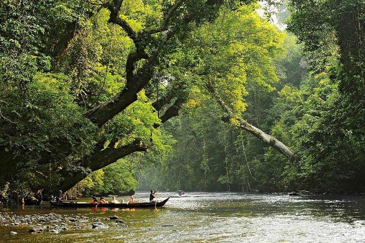Traslado privado: Kuala Lumpur al Parque Nacional Taman Negara (embarcadero de Kuala Tahan)