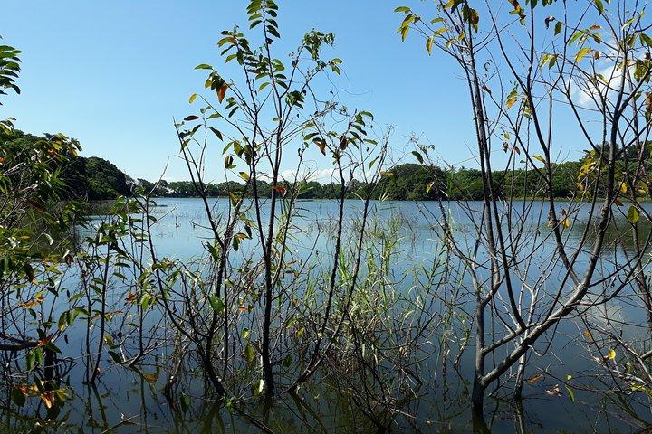 Classic Ometepe Island