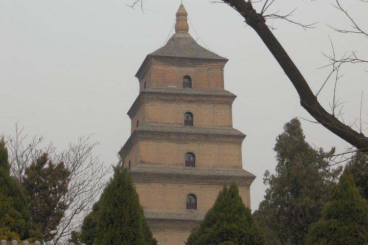 1-tägige Tour durch Xi'an Terrakotta-Krieger, Wildganspagode und Banpo Village Museum