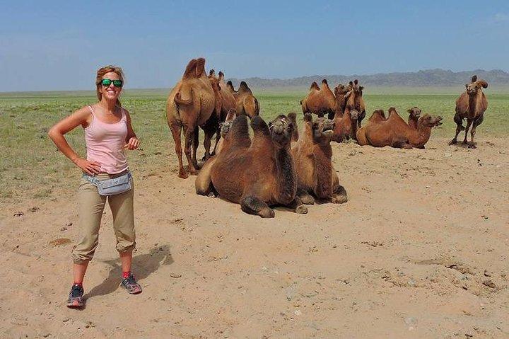 5 dages Majestic Gobi Tour