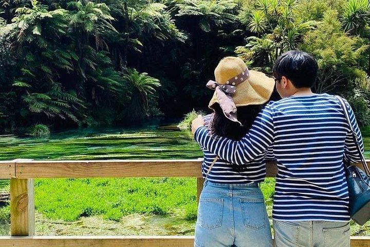 ブルースプリングス、セコイアの森、ワイオタプ地熱公園日帰りツアー