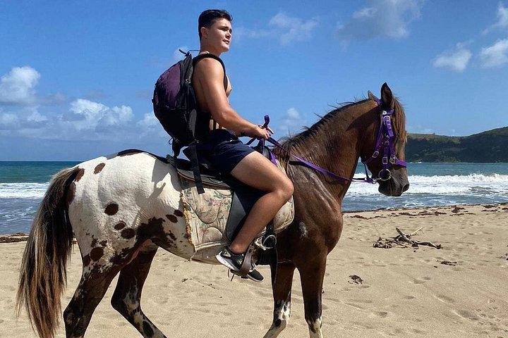 Natur og historiske rideture St. Lucia