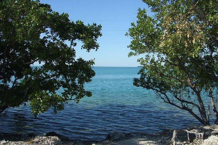 Tour privato di 12 ore a Key Largo e Isla Morada da Miami Dade