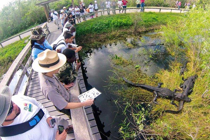 Visite privée des Everglades de 4 heures au départ de Miami Dade