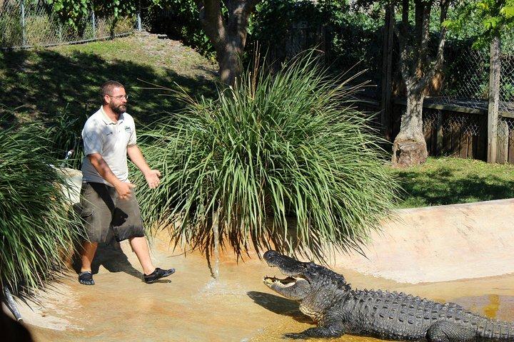 Visite privée des Everglades de 4 heures au départ de Miami Dade