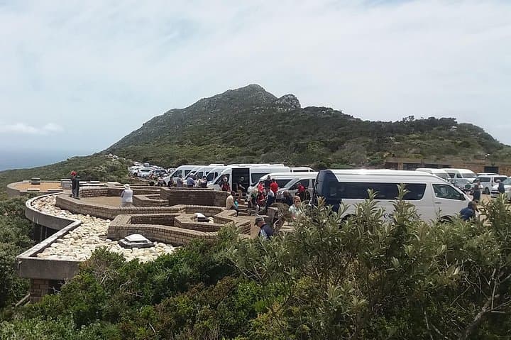 Private Cape of Good Hope, Penguins, Table Mountain and the wineries 2 days