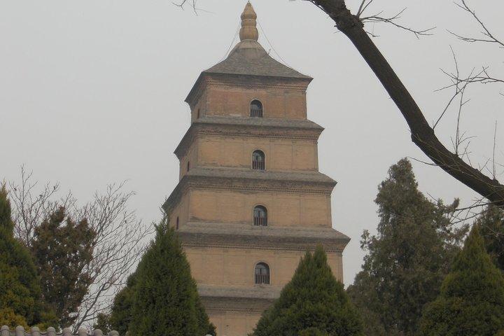 Tour di 4 giorni a Xi'an con i punti salienti della città e il Museo dei guerrieri di terracotta