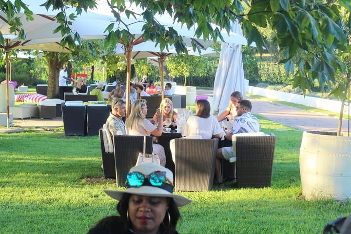 Private Cape of Good Hope, Penguins, Table Mountain and the wineries 2 days