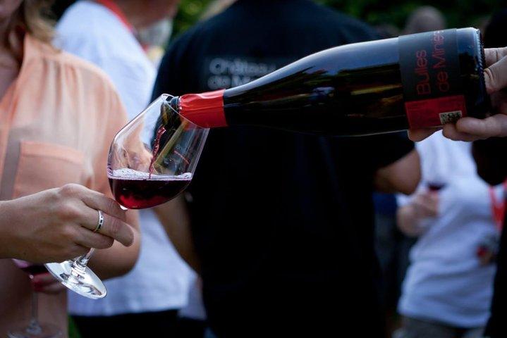 ツアーまたはアンボワーズからの試飲付きのロワール渓谷ワインのプライベートデイツアー