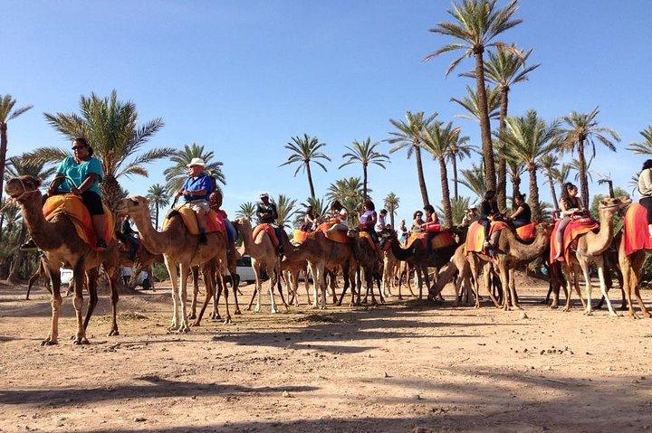 Kameelrit in Marrakech