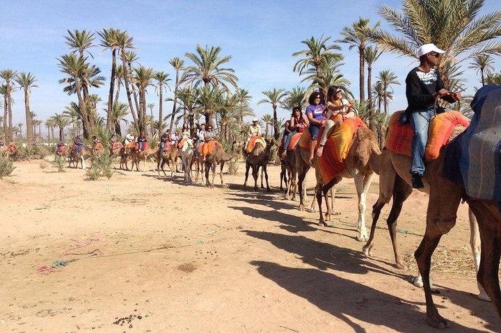 Kamelritt i Marrakech
