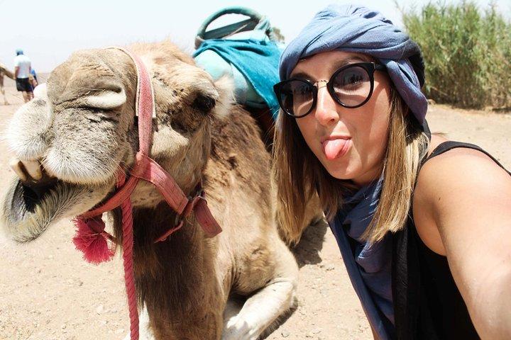 Kamelritt i Marrakech
