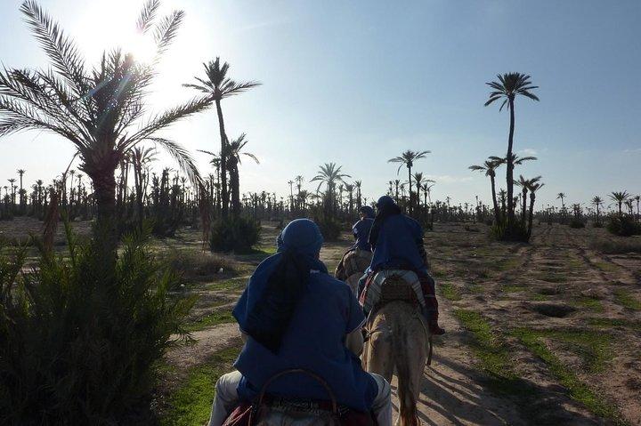 Kamelritt i Marrakech