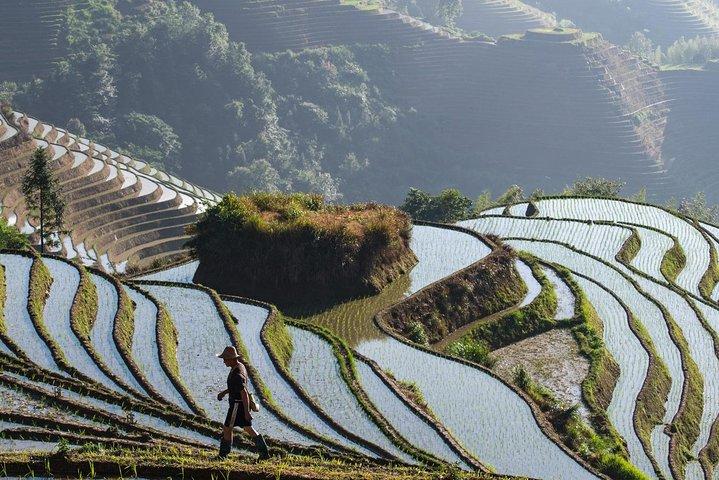 Fra Guilin: Fuld dagstur til Longji Terraces Fields