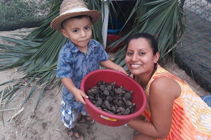 Baby Turtle Release i Coyote Escobilla Beach