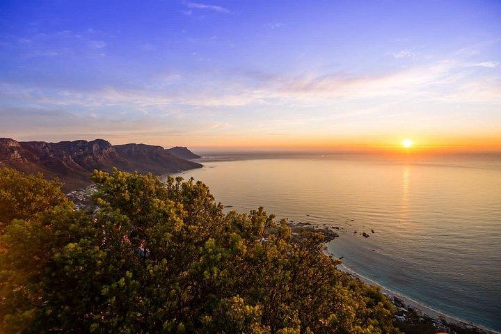 Camine por Table Mountain o Lions Head en Ciudad del Cabo como un local