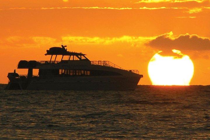 San Diego Dolphin Watch Sunset Cruise em Legacy Whale Watch