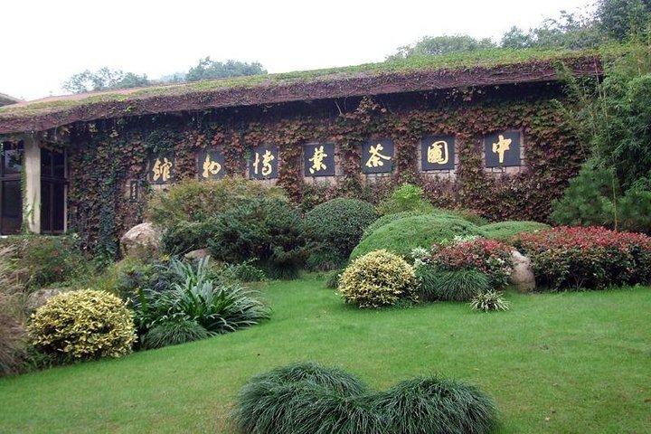 Gita di un giorno a Hangzhou Tour della piantagione e della cultura del pozzo del drago
