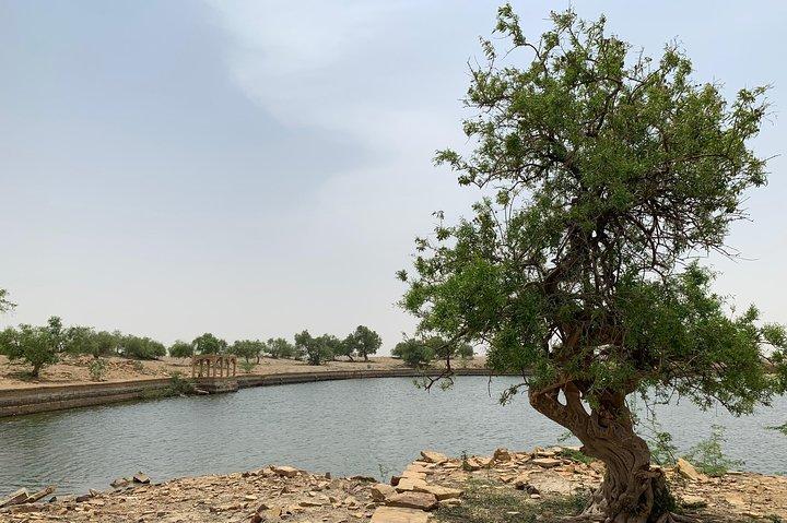 Privat Jaisalmer landlige gårdstur