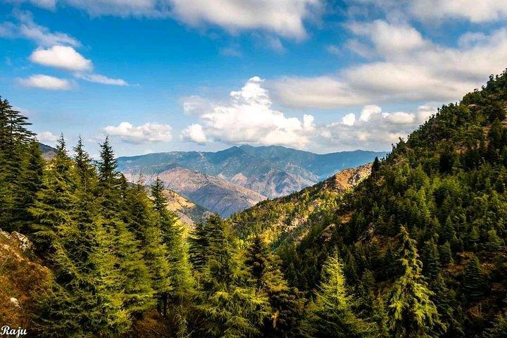 Haut Tibba Trek - Mussoorie