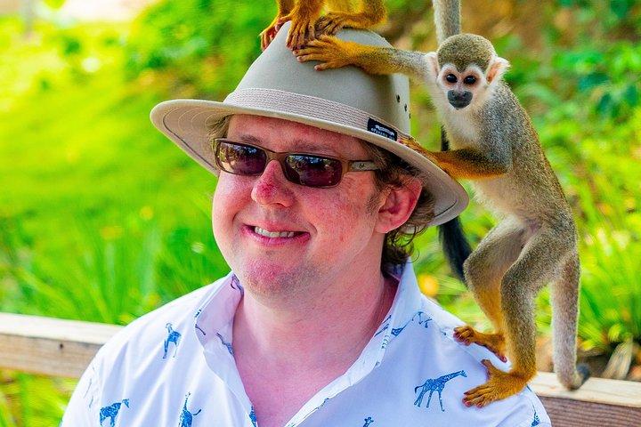 Monkeyland Puerto Plata