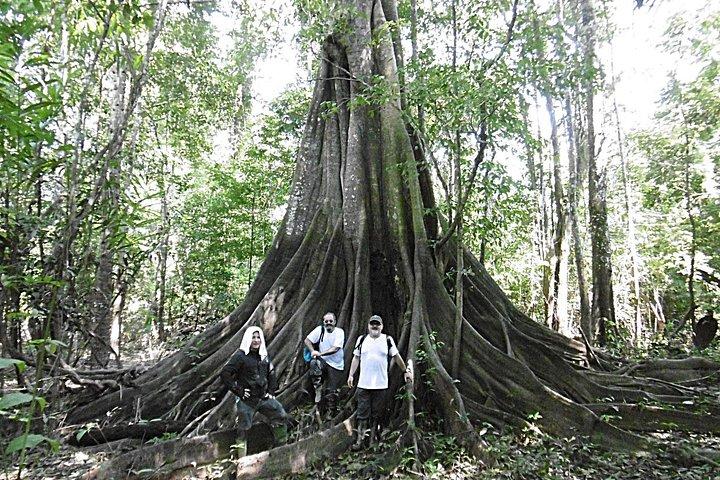 6日間5泊Amazon Expeditionsイキトスペルー-アマゾンアンタレスロッジ