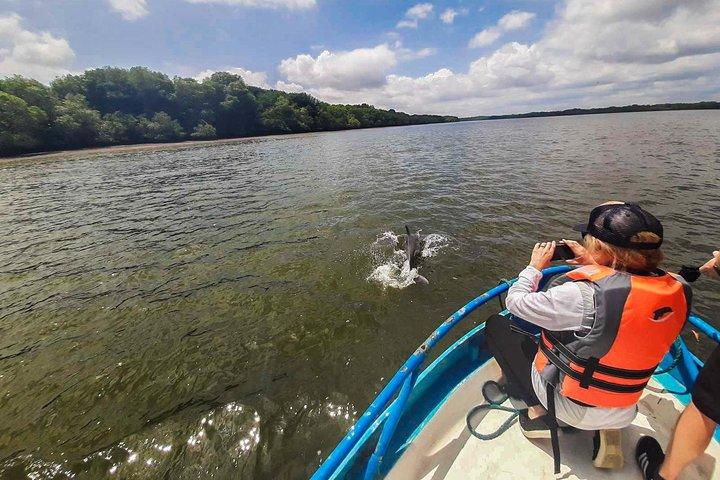 Observation des dauphins à Puerto El Morro de Guayaquil