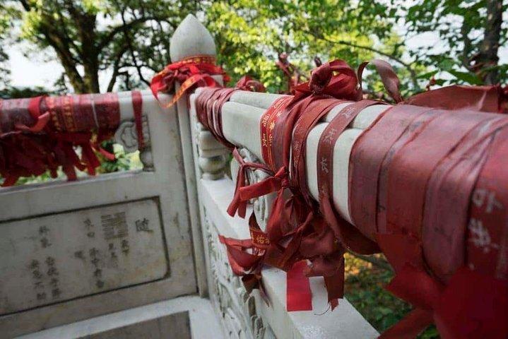 パンダ基地と道教の青城山への日帰り旅行
