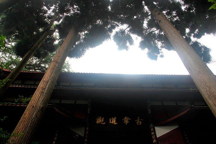 パンダ基地と道教の青城山への日帰り旅行