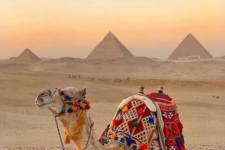5-stündige Tour um die Pyramiden Reiten auf einem Kamel oder einem Pferd