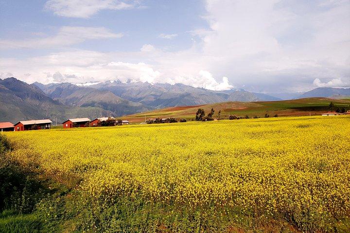 Die beste private Sacred Valley Tour in Cusco (mit Chinchero)