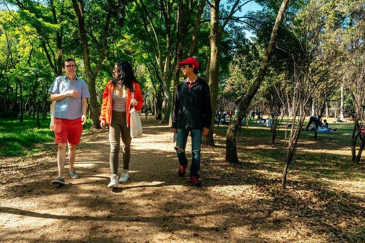 メキシコシティの喧騒から離れて：プライベートシティツアー