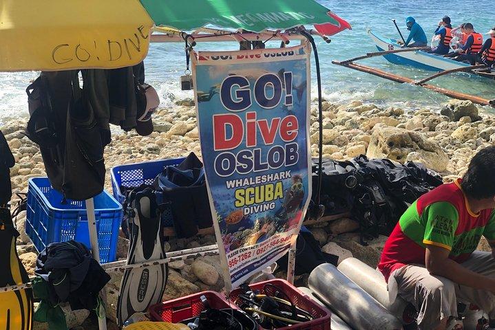 Excursion privée d'une journée : Oslob Whaleshark + Tumalog Falls (île de Sumilon)