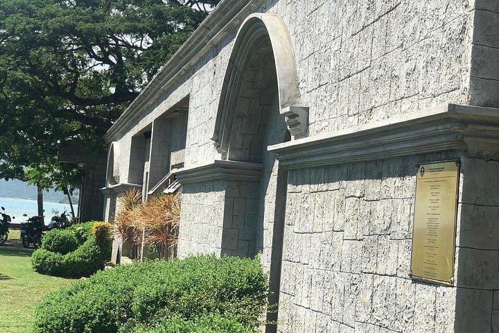 プライベート デイ ツアー: オスロブ ジンベエザメ + ツマログ滝(スミロン島)