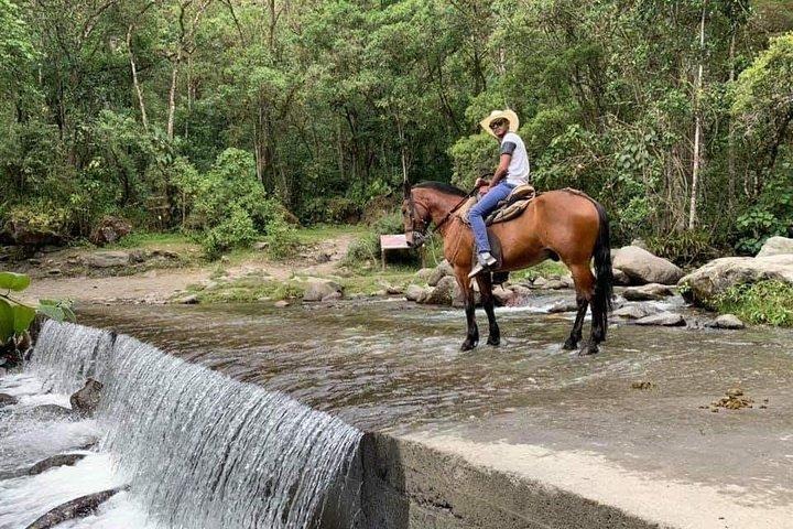ビューポイント 1 とココラ バレー川への乗馬