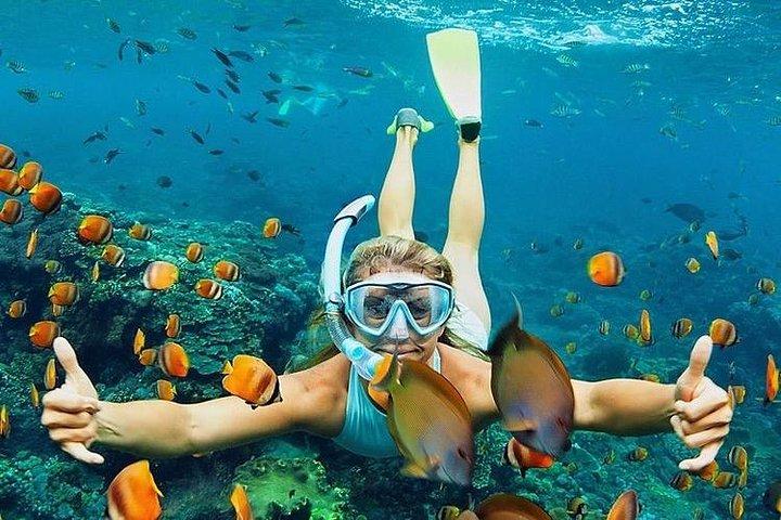 Bali : ウブドのバリスイングとブルーラグーンシュノーケリングが融合