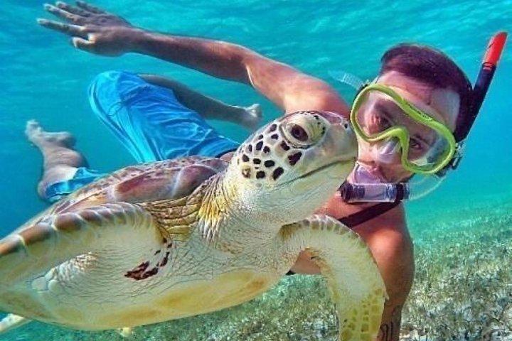 Bali : ウブドのバリスイングとブルーラグーンシュノーケリングが融合